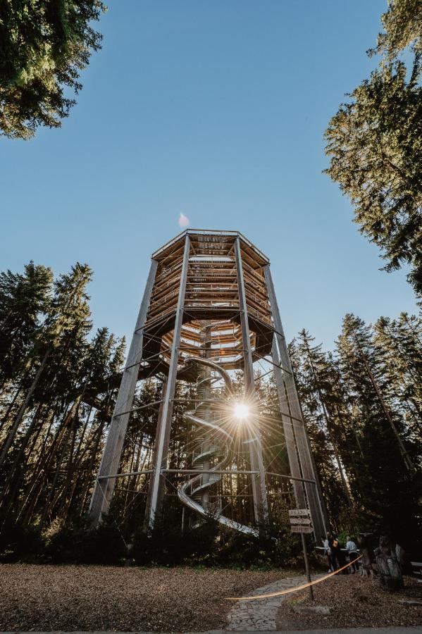 Lipno nad Vltavou - Apartman 23 Exteriér fotografie